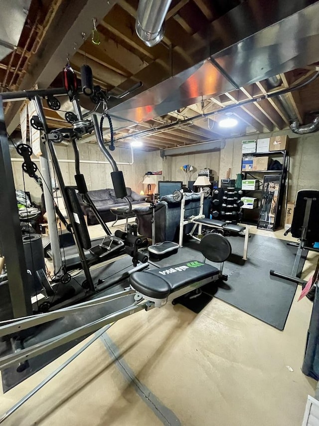749 S Vintage Ln, Round Lake, IL 60073 - view of workout area