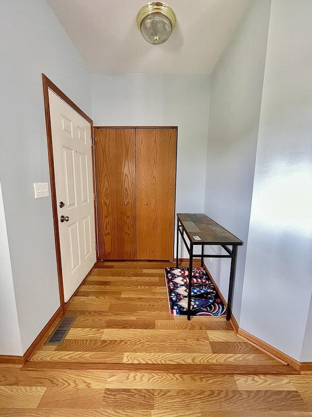 749 S Vintage Ln, Round Lake, IL 60073 - hallway with light wood-style flooring and baseboards