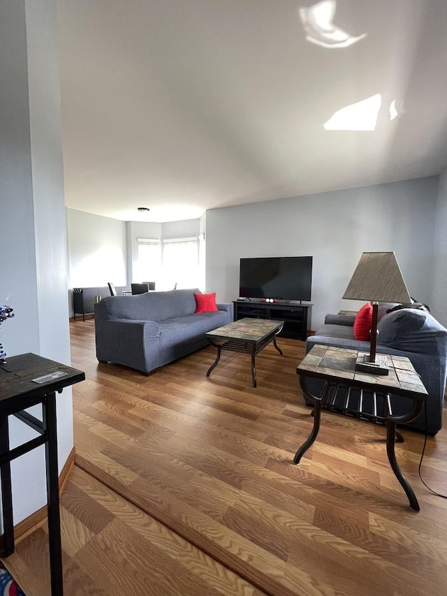 749 S Vintage Ln, Round Lake, IL 60073 - living area with wood finished floors
