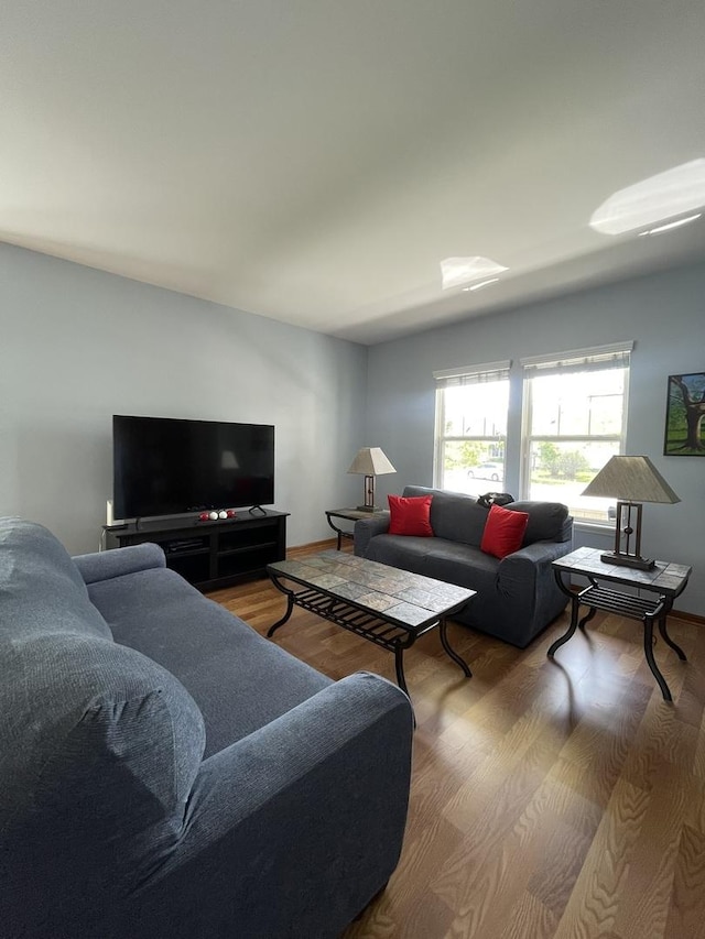 749 S Vintage Ln, Round Lake, IL 60073 - living room with wood finished floors and baseboards
