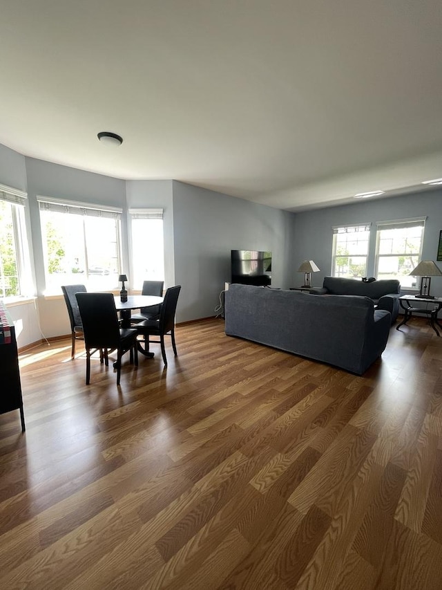 749 S Vintage Ln, Round Lake, IL 60073 - living area with dark wood-style floors