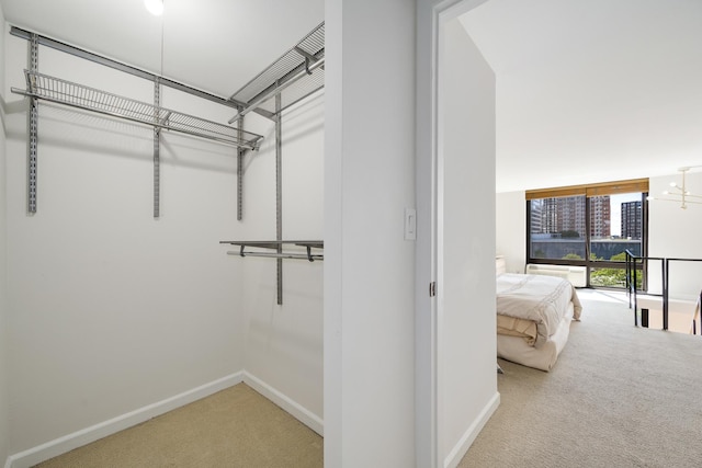 1221 N Dearborn St Unit 601S, Chicago, IL 60610 - spacious closet with carpet