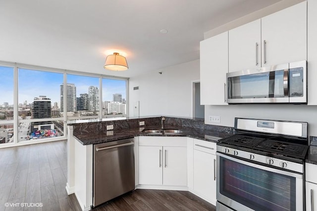 757 N Orleans St Unit 1509, Chicago, IL 60654 - kitchen with stainless steel appliances, a sink, a peninsula, dark wood-style flooring, and dark stone countertops