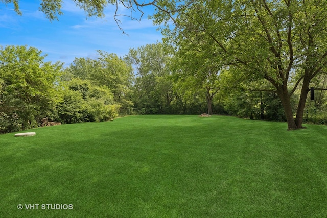4335 Dewey Ave, Matteson, IL 60443 - view of green lawn