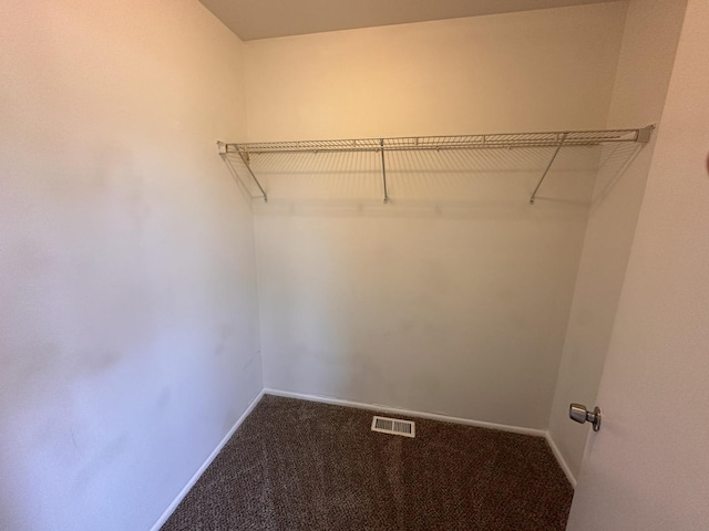 5911 Timberlane Rd, Matteson, IL 60443 - spacious closet featuring carpet