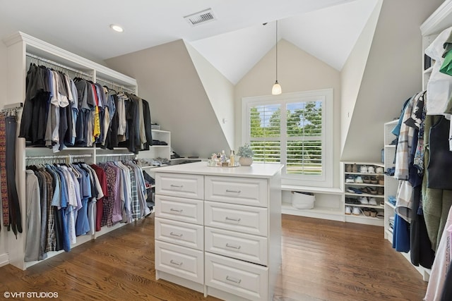 26874 N Countryside Lake Dr, Mundelein, IL 60060 - walk in closet featuring wood finished floors and vaulted ceiling