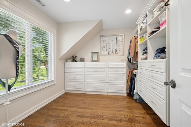 26874 N Countryside Lake Dr, Mundelein, IL 60060 - walk in closet with wood finished floors