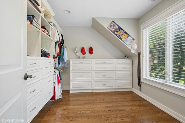 26874 N Countryside Lake Dr, Mundelein, IL 60060 - spacious closet with wood finished floors
