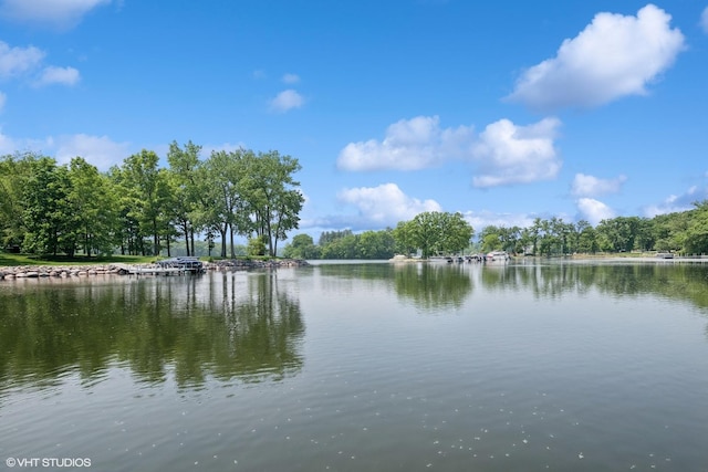 26874 N Countryside Lake Dr, Mundelein, IL 60060 - water view