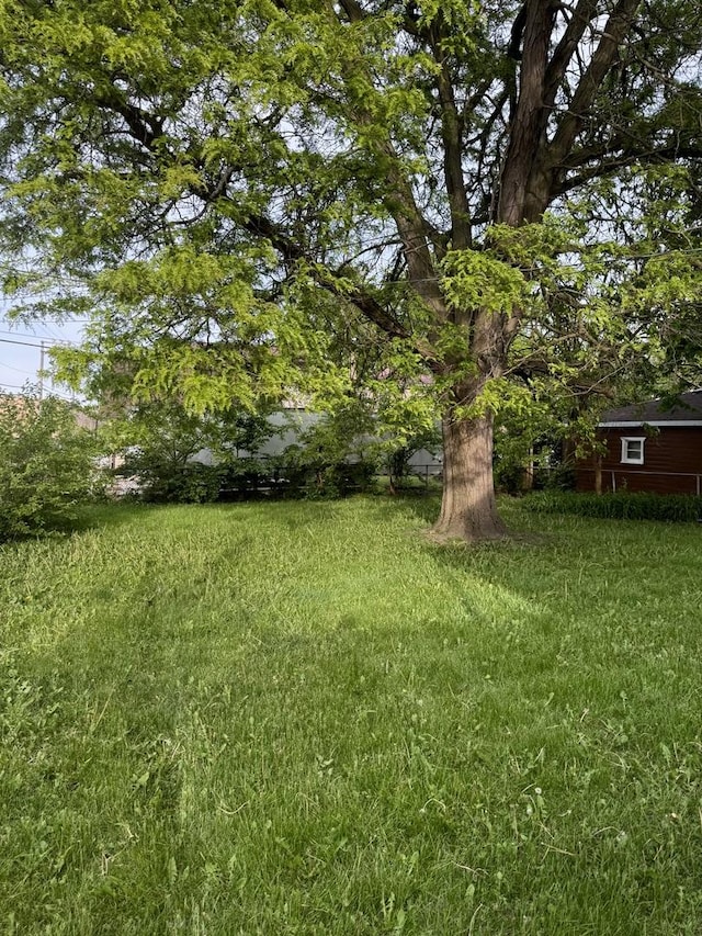 2219 S 13th Ave, Broadview, IL 60155 - view of green lawn