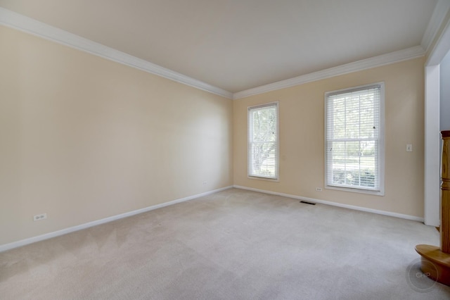 3744 Highknob Cir, Naperville, IL 60564 - spare room with ornamental molding, light colored carpet, and baseboards