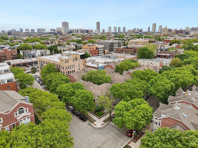 1248 W Fletcher St Unit C, Chicago, IL 60657 - bird's eye view of skyline