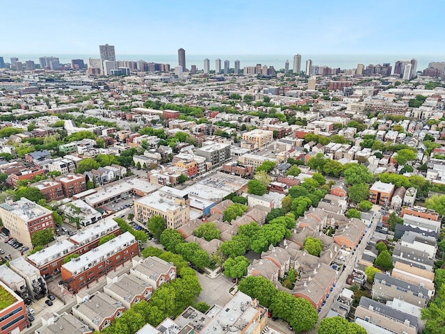 1248 W Fletcher St Unit C, Chicago, IL 60657 - aerial view of city skyline