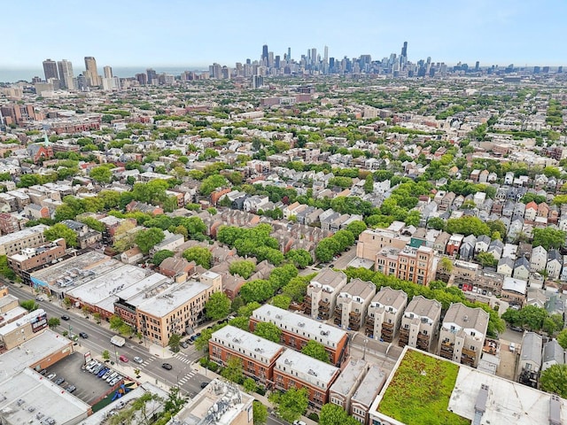 1248 W Fletcher St Unit C, Chicago, IL 60657 - bird's eye view of skyline