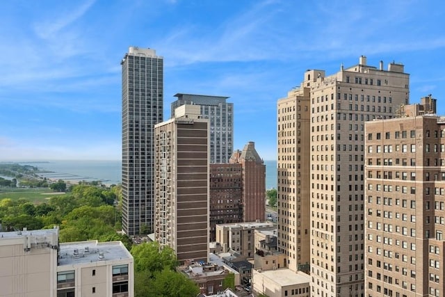 1430 N Astor St Unit 11C, Chicago, IL 60610 - city view