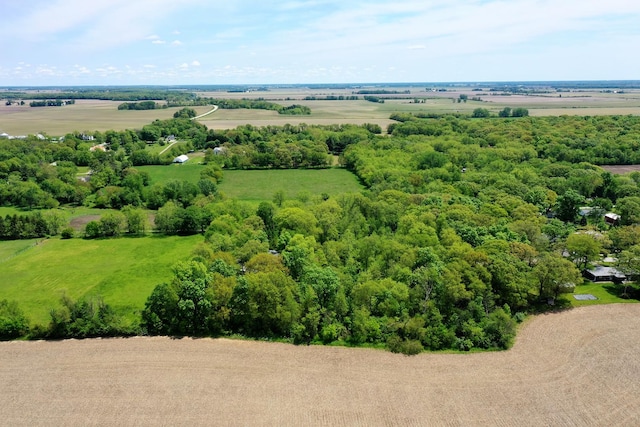 16864 E State Route 17, Grant Park, IL 60940 - bird's eye view