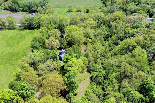16864 E State Route 17, Grant Park, IL 60940 - bird's eye view of a forest