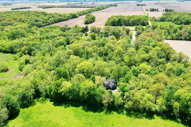 16864 E State Route 17, Grant Park, IL 60940 - aerial view of sparsely populated area with farmland
