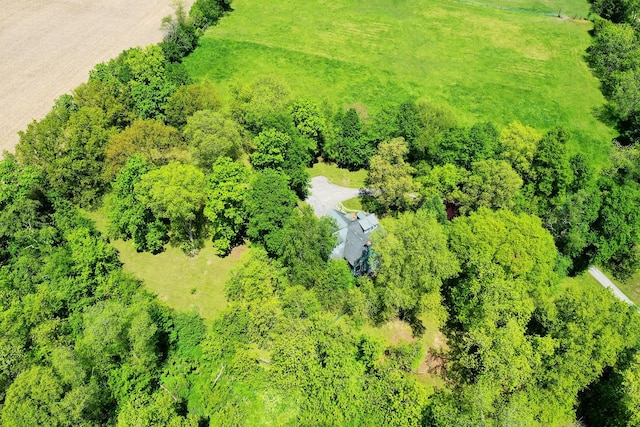 16864 E State Route 17, Grant Park, IL 60940 - bird's eye view