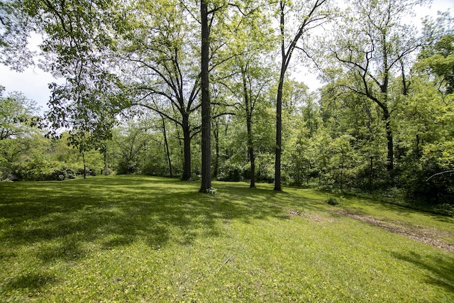 16864 E State Route 17, Grant Park, IL 60940 - view of grassy yard featuring a wooded view
