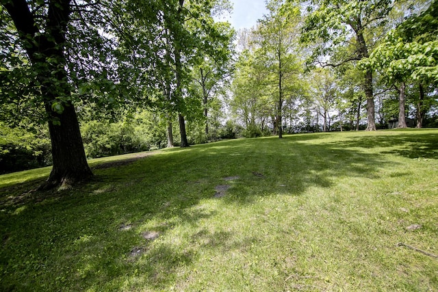 16864 E State Route 17, Grant Park, IL 60940 - view of green lawn