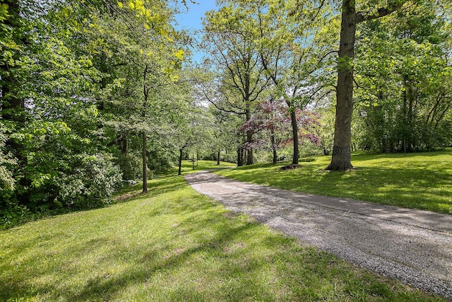 16864 E State Route 17, Grant Park, IL 60940 - view of property's community featuring a lawn and driveway
