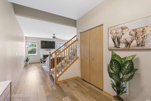 6417 Blue Sky Ln, Matteson, IL 60443 - stairs with wood finished floors, a warm lit fireplace, and baseboards