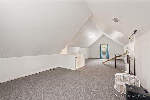 119 W S Ave, Spring Grove, IL 60081 - additional living space with carpet flooring and lofted ceiling