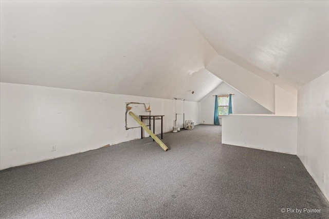 119 W S Ave, Spring Grove, IL 60081 - additional living space featuring lofted ceiling and carpet