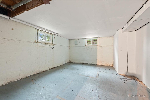119 W S Ave, Spring Grove, IL 60081 - view of below grade area