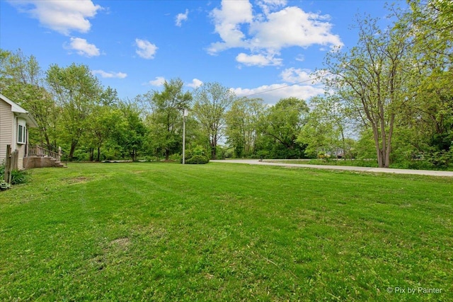 119 W S Ave, Spring Grove, IL 60081 - view of grassy yard