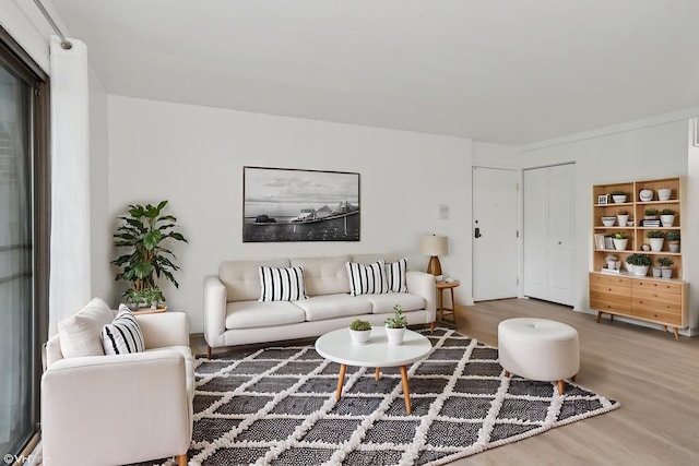 266 Mayfair Ln Unit C1, Schaumburg, IL 60193 - living room featuring wood finished floors