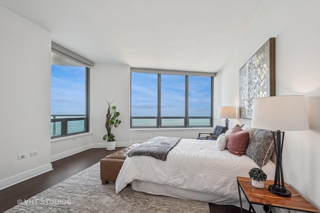 600 N Lake Shore Dr Unit 3411, Chicago, IL 60611 - bedroom with wood finished floors and baseboards