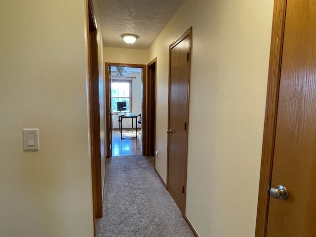 1181 Golf Ct, Dekalb, IL 60115 - hall featuring carpet flooring and a textured ceiling