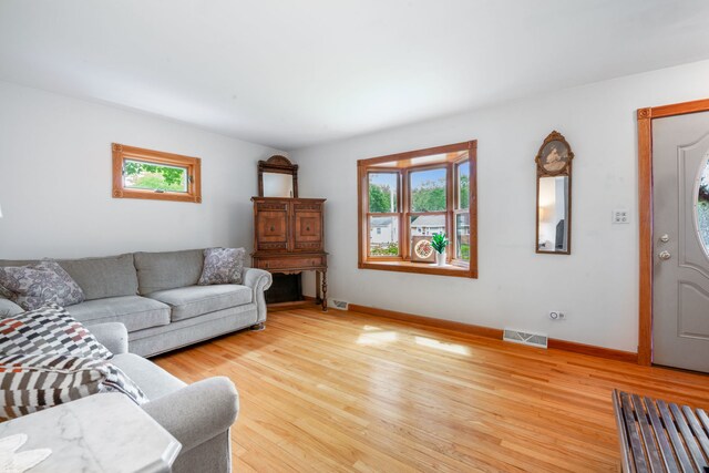 229 N Marion Ave, Bartlett, IL 60103 - living area with plenty of natural light, light wood finished floors, and baseboards