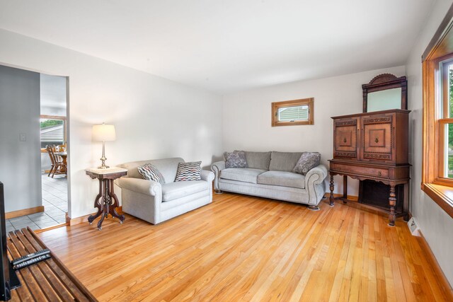 229 N Marion Ave, Bartlett, IL 60103 - living room featuring light wood-style floors, healthy amount of natural light, and baseboards