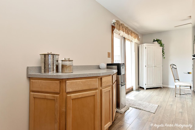 1503 Channel Beach Ave, Johnsburg, IL 60051 - kitchen with light wood-style floors and baseboards
