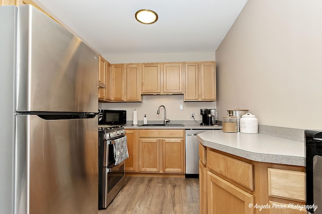 1503 Channel Beach Ave, Johnsburg, IL 60051 - kitchen with stainless steel appliances, a sink, light brown cabinetry, light wood-type flooring, and light countertops