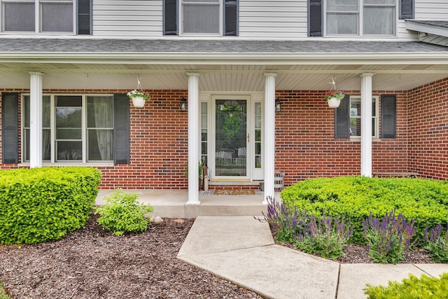 605 Feeney Dr, Minooka, IL 60447 - view of exterior entry featuring covered porch and brick siding
