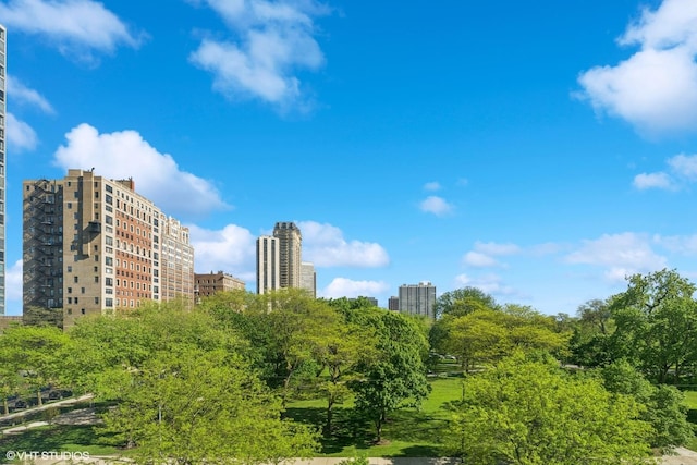 345 W Fullerton Pkwy Unit 601, Chicago, IL 60614 - view of undeveloped land