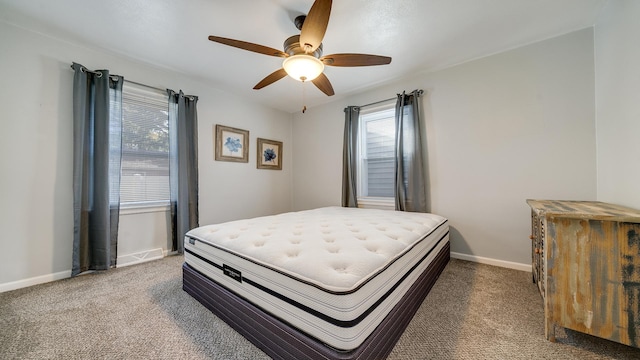 325 Goodrich St, Belvidere, IL 61008 - bedroom with multiple windows, carpet floors, and baseboards