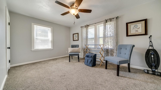 325 Goodrich St, Belvidere, IL 61008 - living area featuring carpet floors, ceiling fan, and baseboards