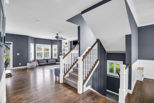 1407 Winterberry Rd, Savoy, IL 61874 - stairway featuring healthy amount of natural light, a ceiling fan, and wood finished floors