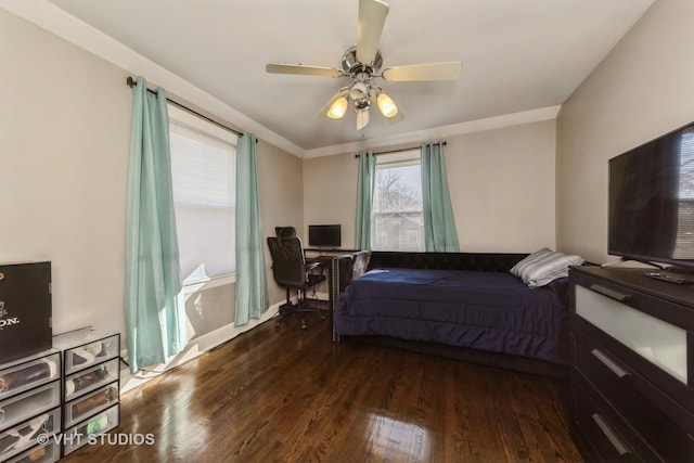 221 Cornwall Dr, Crete, IL 60417 - bedroom with wood finished floors, ceiling fan, baseboards, and an office area