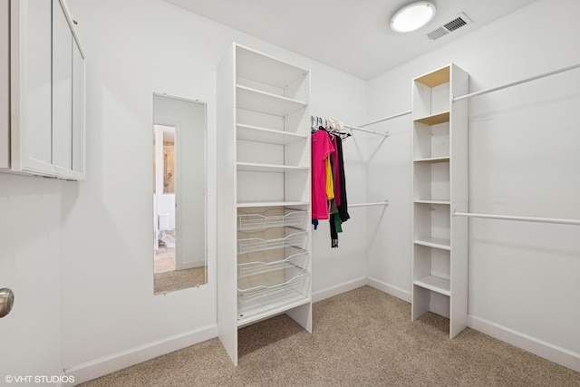 877 Hollywood Ave, Des Plaines, IL 60016 - walk in closet featuring carpet flooring