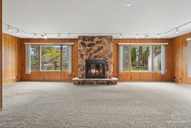 9258 Clancy Dr, Des Plaines, IL 60016 - unfurnished living room featuring rail lighting, carpet floors, and wood walls