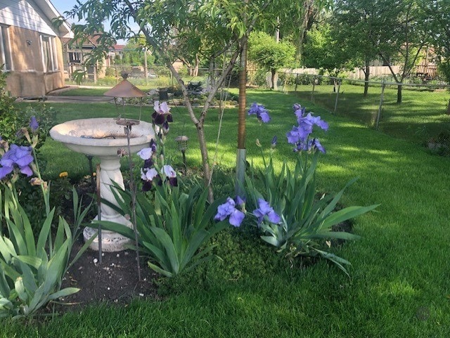 9258 Clancy Dr, Des Plaines, IL 60016 - view of yard