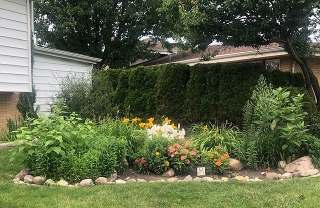 9258 Clancy Dr, Des Plaines, IL 60016 - view of yard