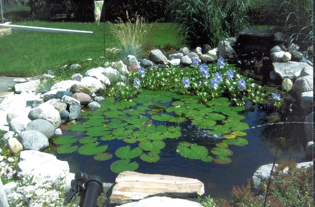 9258 Clancy Dr, Des Plaines, IL 60016 - exterior view of a garden pond