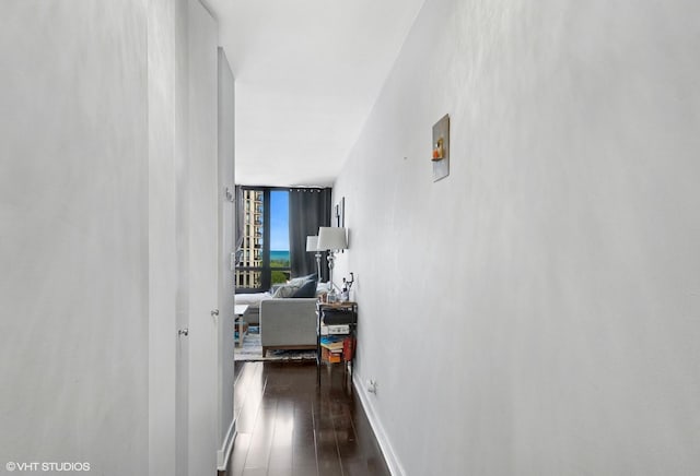 1636 N Wells St Unit 1107, Chicago, IL 60614 - hall with dark wood-style flooring and a wall of windows
